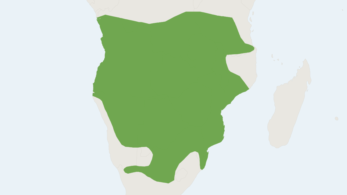 Range map of the Bushveld Gerbil (Gerbilliscus leucogaster)