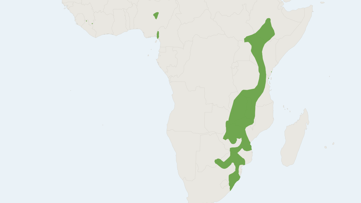 Range map of the Bushveld Horseshoe Bat (Rhinolophus simulator)