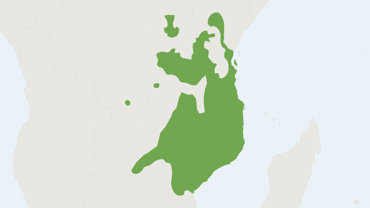 Range map of the Bushy-tailed Mongoose (Bdeogale crassicauda)