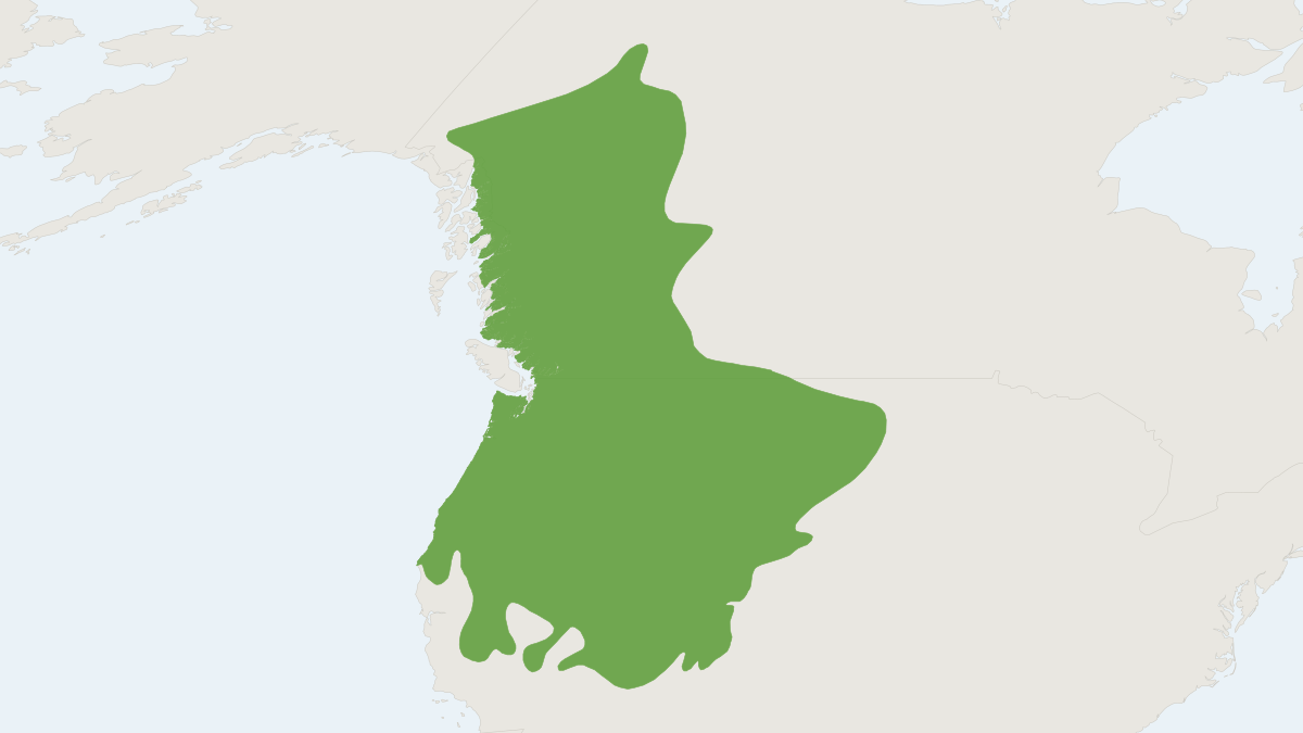 Range map of the Bushy-tailed Woodrat (Neotoma cinerea)