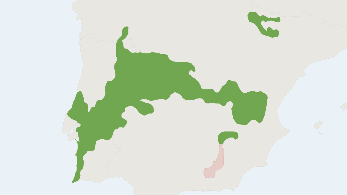 Range map of the Cabrera's Vole (Microtus cabrerae)