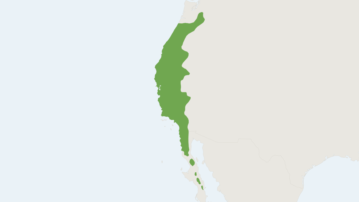 Range map of the California Ground Squirrel (Otospermophilus beecheyi)