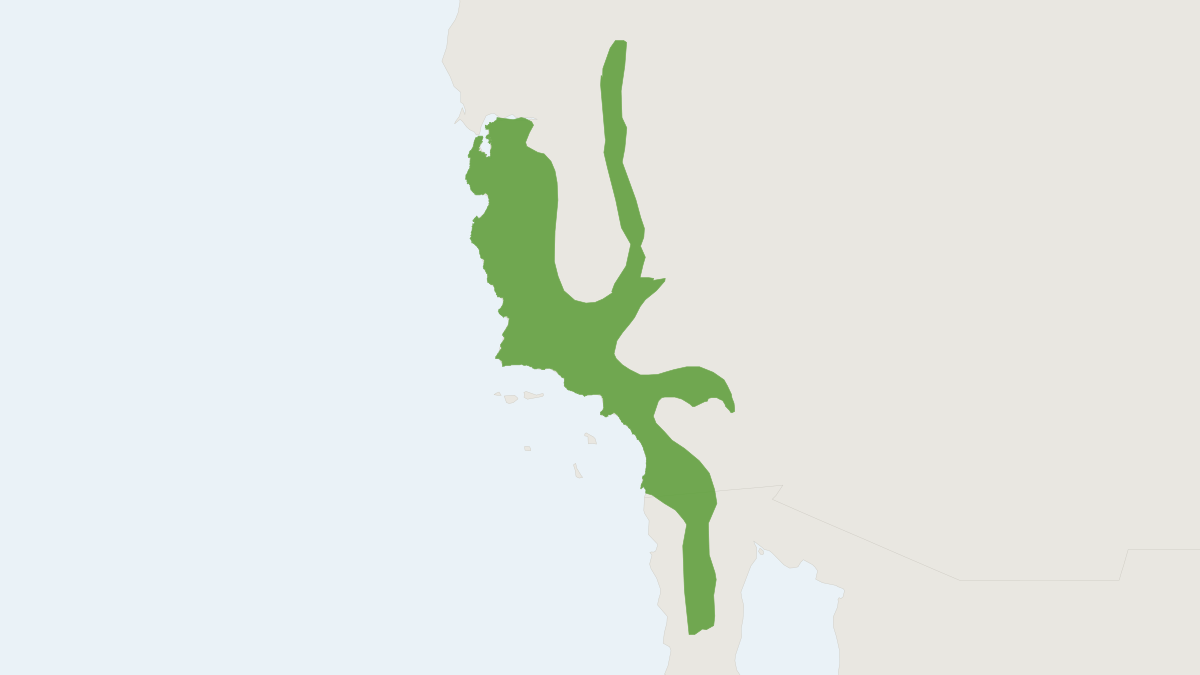 Range map of the California Pocket Mouse (Chaetodipus californicus) covering Mexico and United States