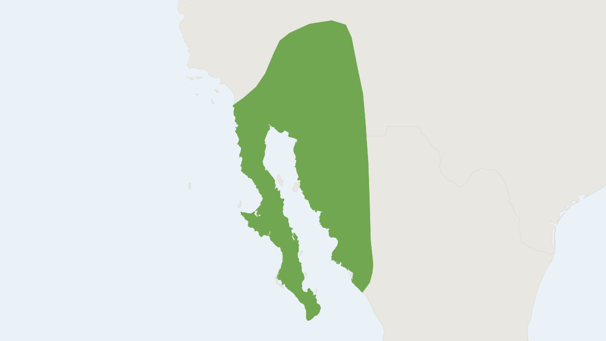 Range map of the Californian Leaf-nosed Bat (Macrotus californicus)