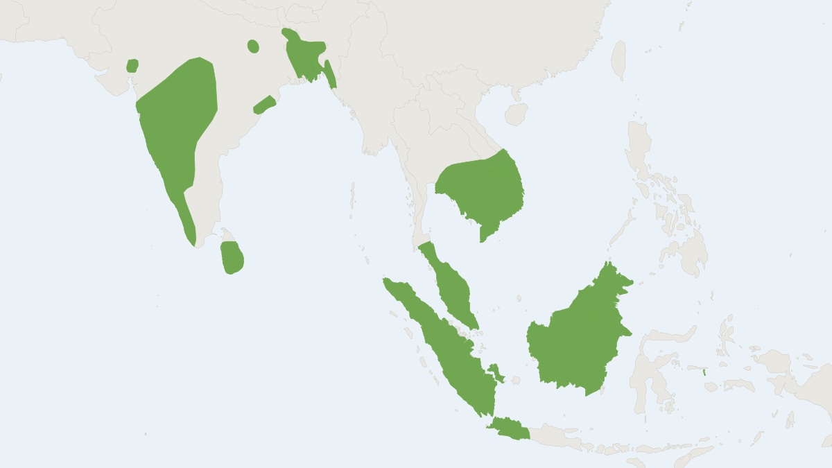Range map of the Cantor's Leaf-nosed Bat (Hipposideros galeritus)