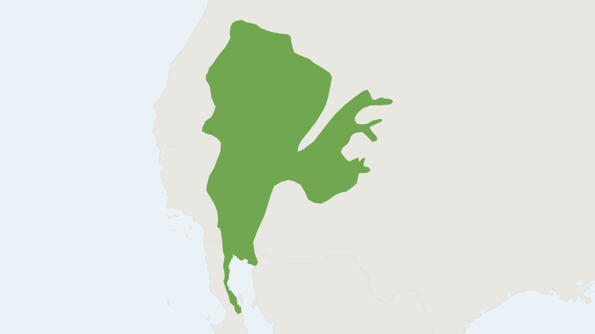 Range map of the Canyon Mouse (Peromyscus crinitus)