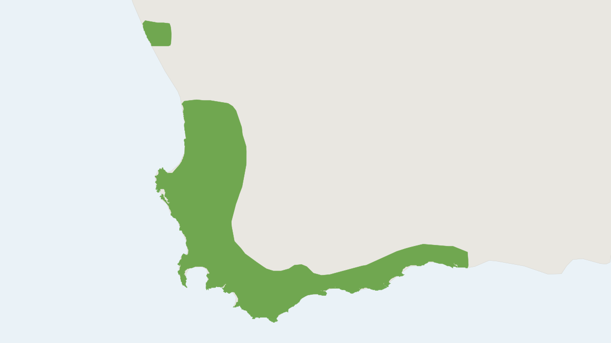 Range map of the Cape Dune Mole Rat (Bathyergus suillus) covering South Africa