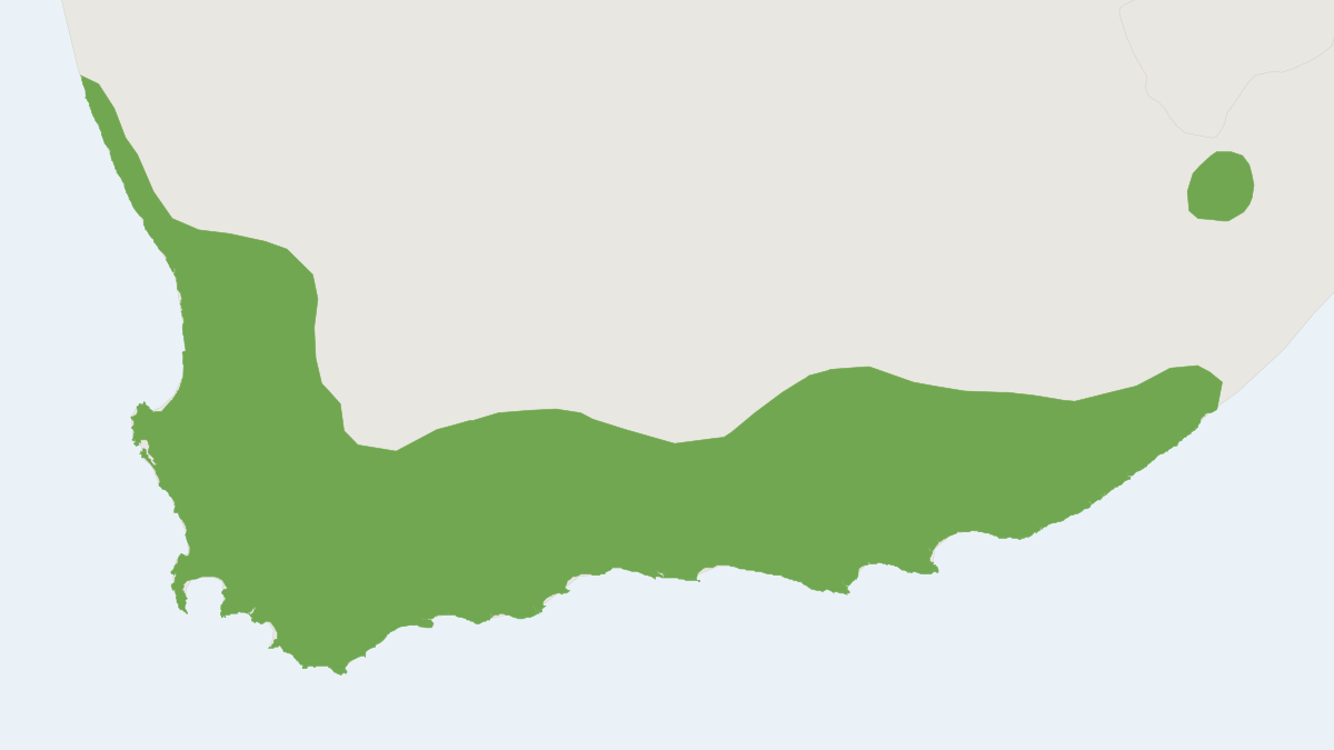 Range map of the Cape Grysbok (Raphicerus melanotis)