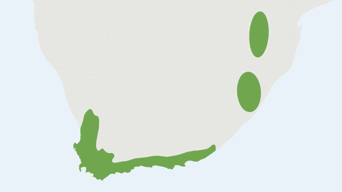 Range map of the Cape Mole-rat (Georychus capensis)