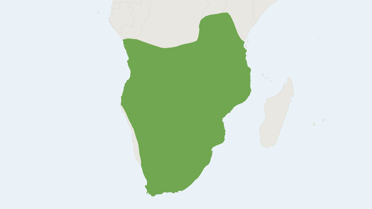 Range map of the Cape Porcupine (Hystrix africaeaustralis)
