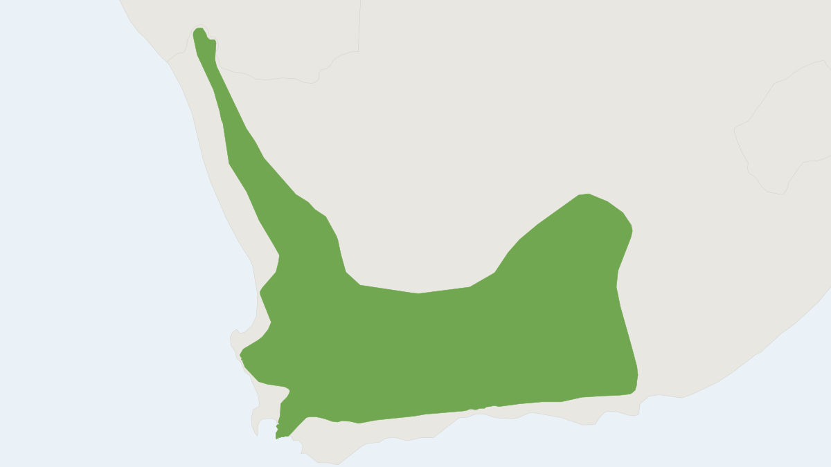 Range map of the Cape Rock Sengi (Elephantulus edwardii)
