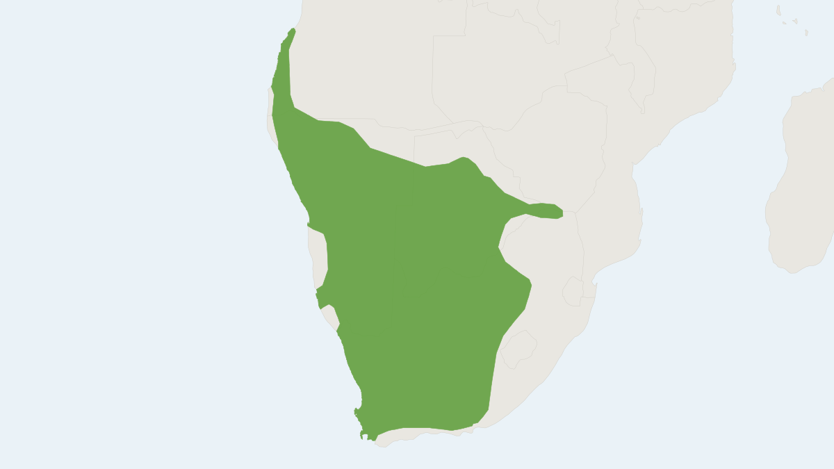 Range map of the Cape Short-tailed Gerbil (Desmodillus auricularis)