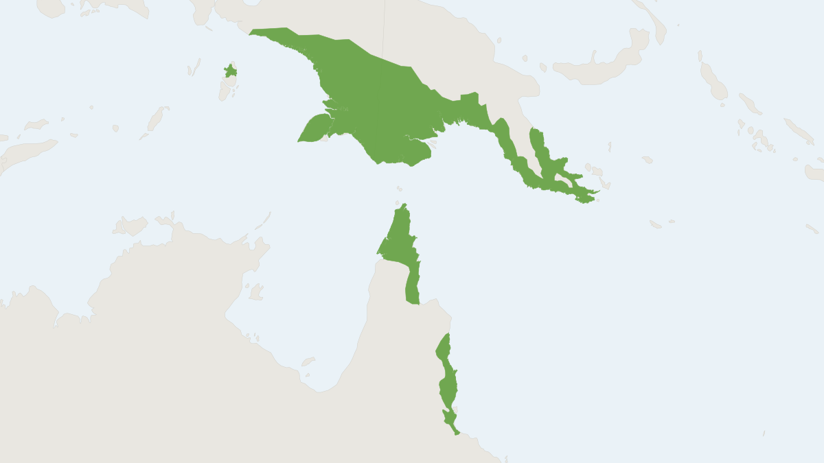 Range map of the Cape York Rat (Rattus leucopus)