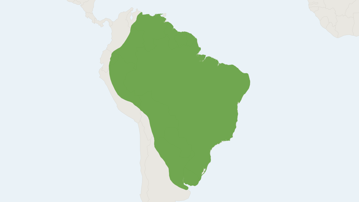 Range map of the Capybara (Hydrochoerus hydrochaeris) covering Argentina, Bolivia and Brazil
