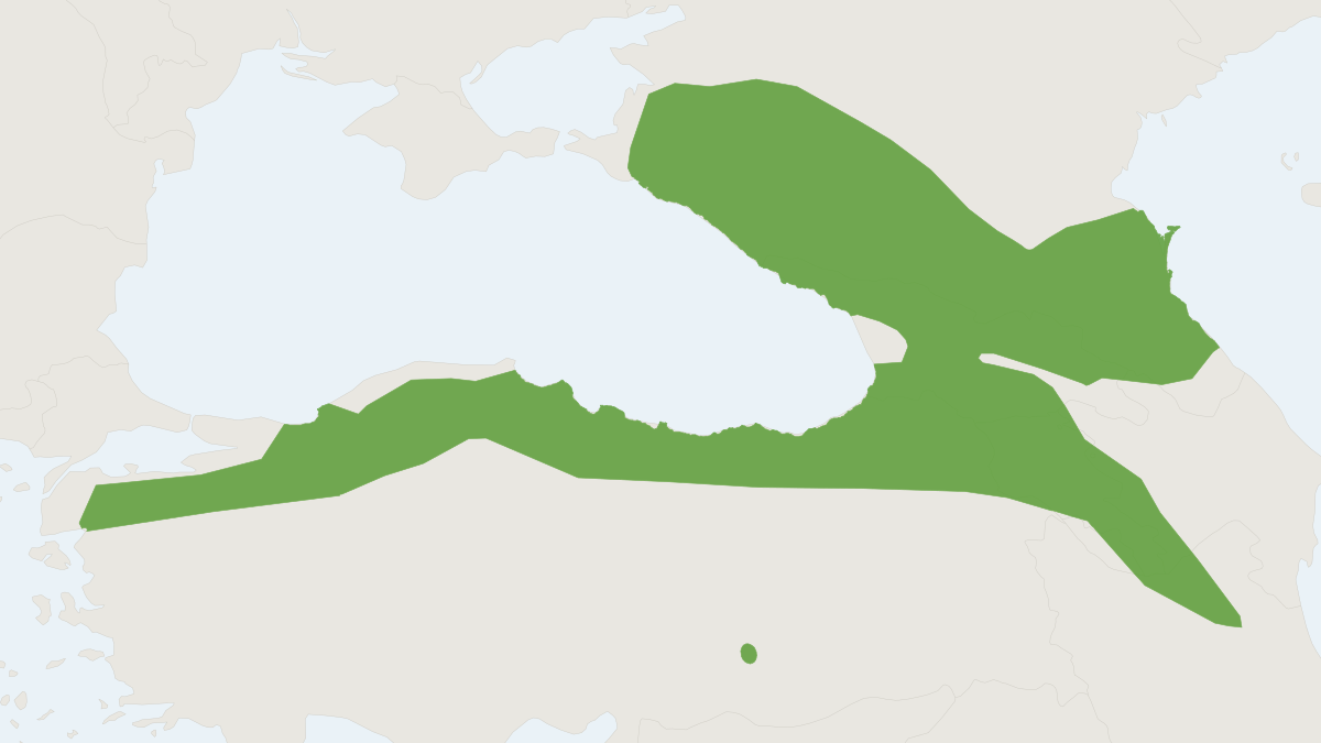 Range map of the Caucasian Pygmy Shrew (Sorex volnuchini)
