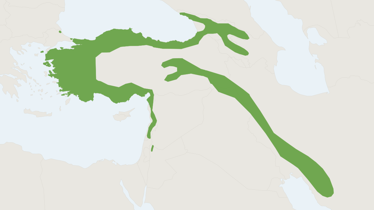 Range map of the Caucasian Squirrel (Sciurus anomalus)