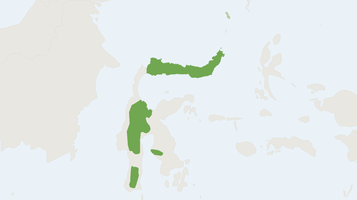 Range map of the Celebes Dwarf Squirrel (Prosciurillus murinus)