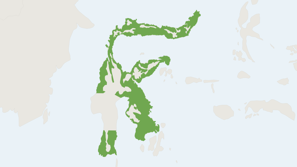 Range map of the Celebes Rat (Taeromys celebensis)