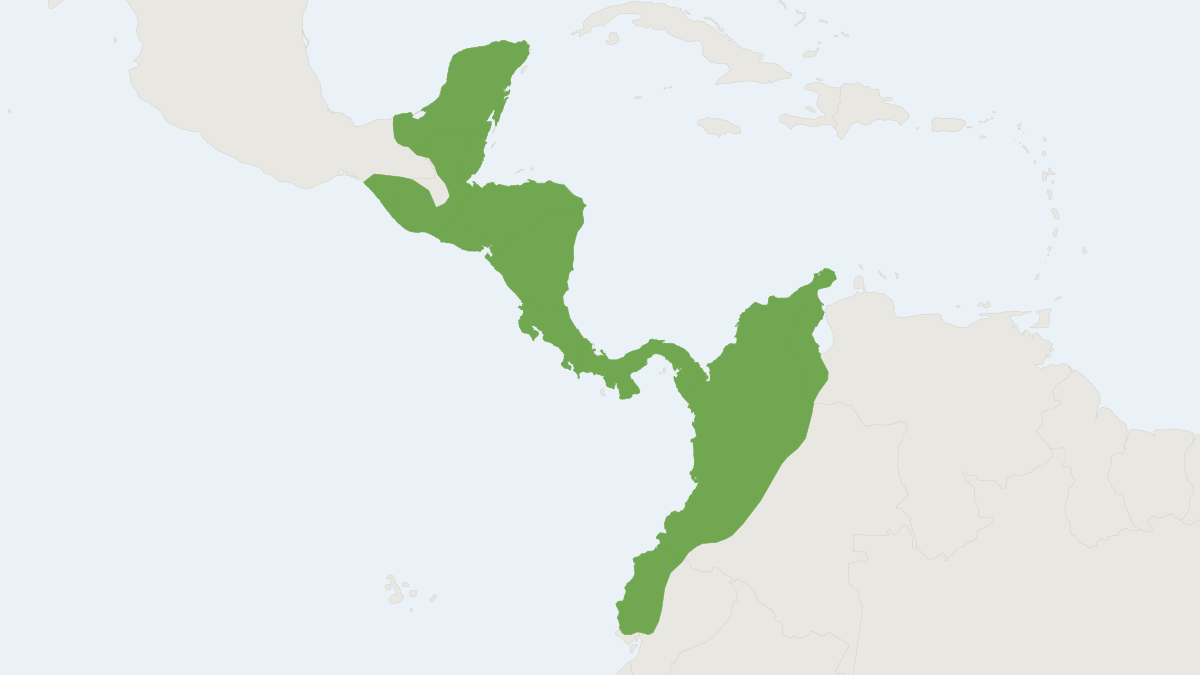 Range map of the Central American Agouti (Dasyprocta punctata)