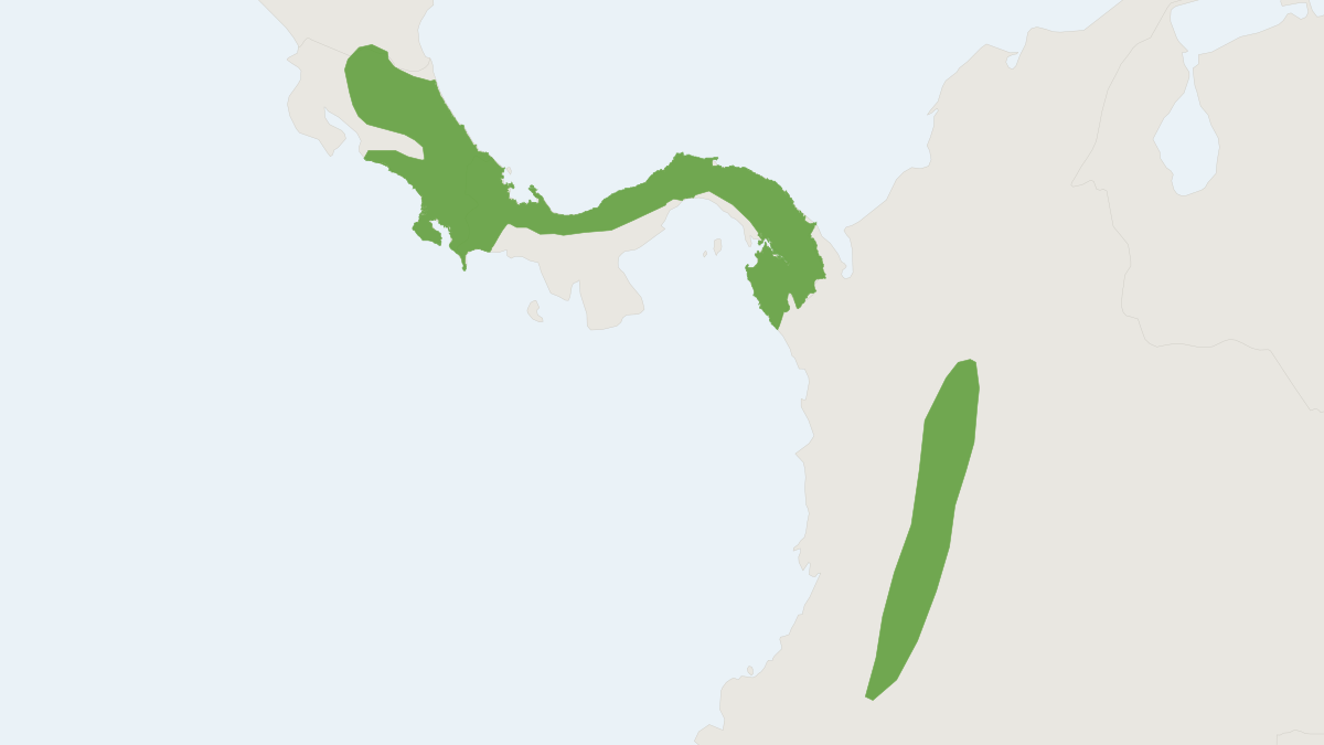 Range map of the Central American Dwarf Squirrel (Microsciurus alfari)