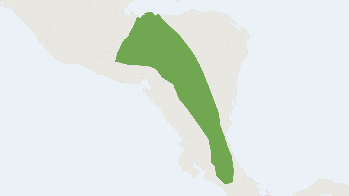 Range map of the Central American Least Shrew (Cryptotis orophila)