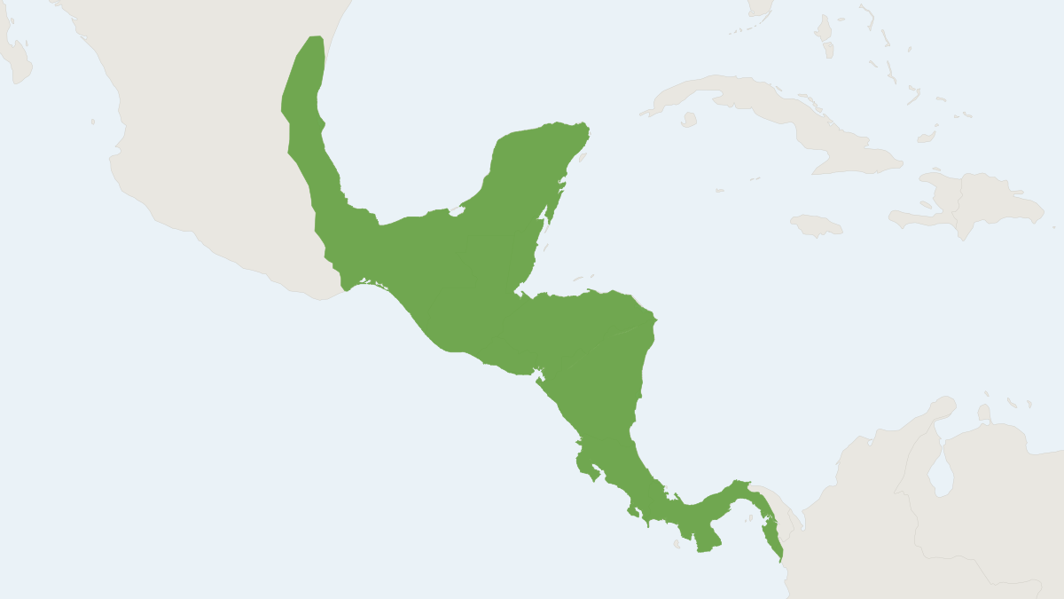 Range map of the Central American Spider Monkey (Ateles geoffroyi) covering Belize, Colombia and Costa Rica
