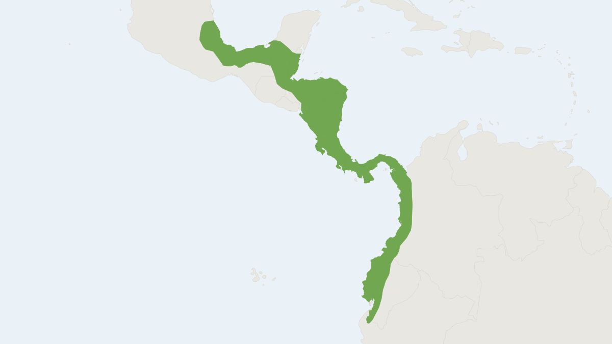Range map of the Central American Woolly Opossum (Caluromys derbianus) covering Belize, Colombia and Costa Rica