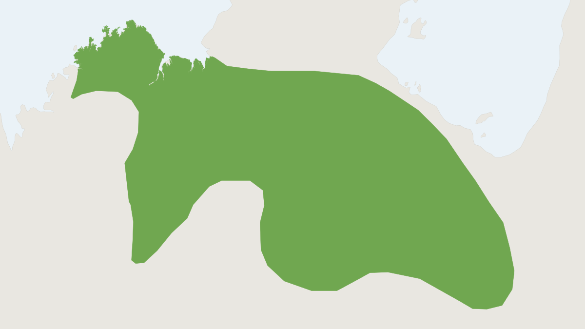 Range map of the Central Pebble Mouse (Pseudomys johnsoni)