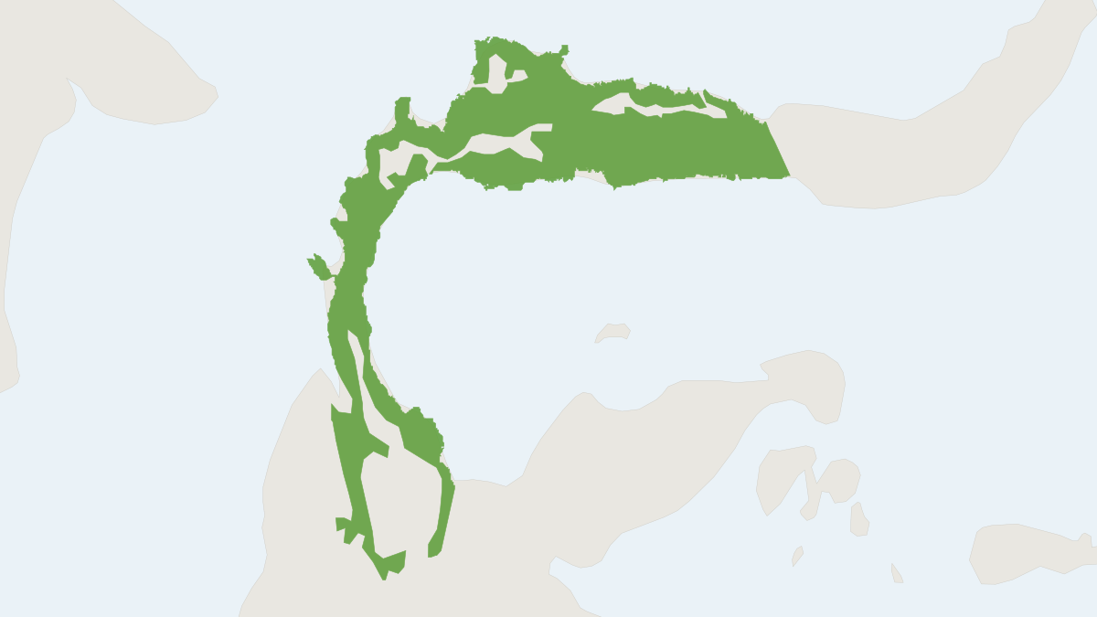 Range map of the Central Sulawesi Spiny Rat (Echiothrix centrosa)