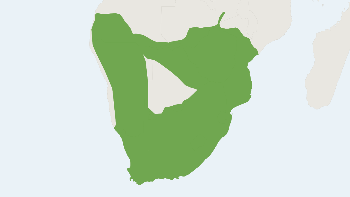 Range map of the Chacma Baboon (Papio ursinus) covering Angola, Botswana and Mozambique