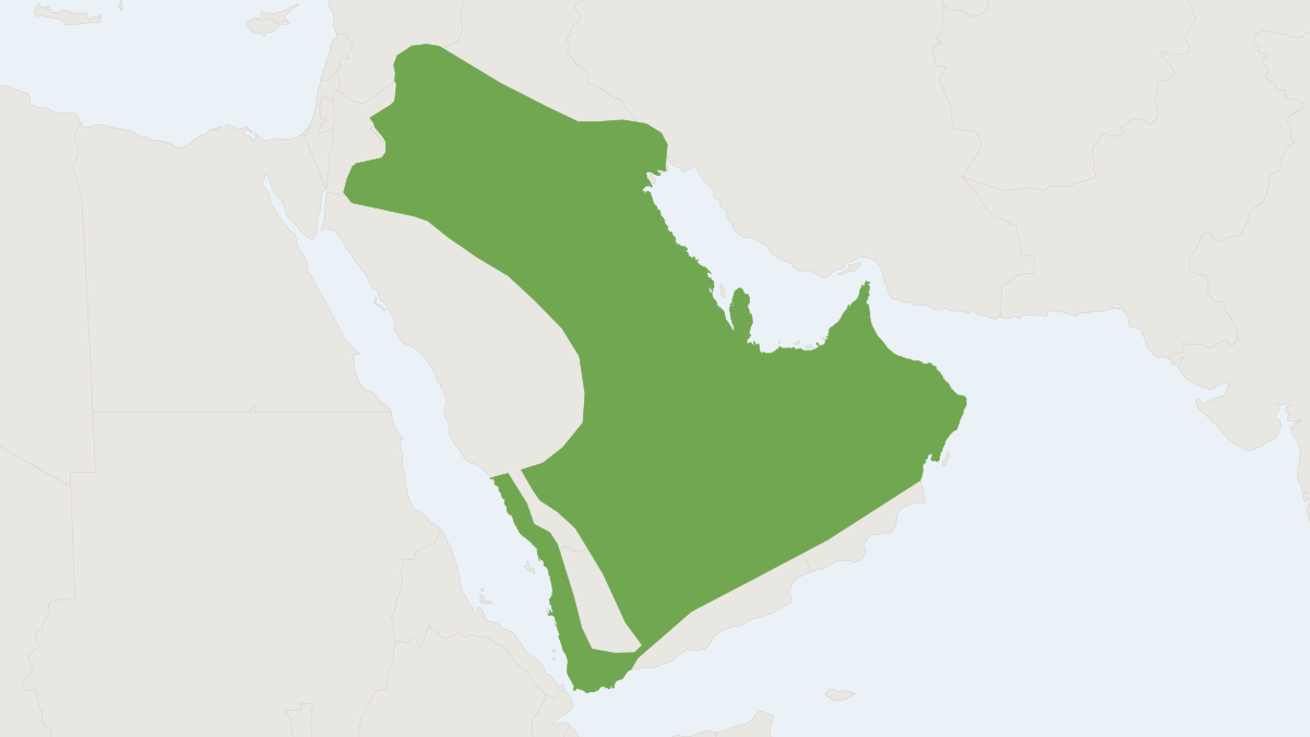 Range map of the Cheesman's Gerbil (Gerbillus cheesmani)