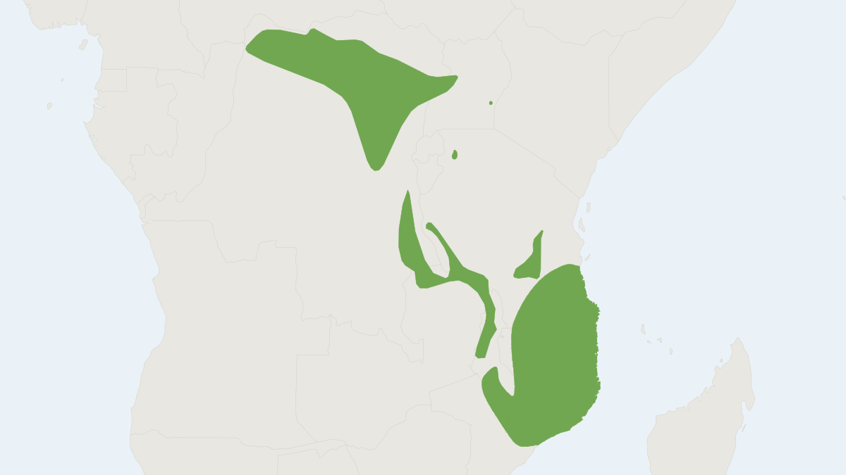 Range map of the Chequered Sengi (Rhynchocyon cirnei)