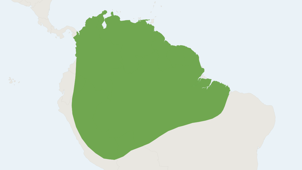Range map of the Chestnut Long-tongued Bat (Lionycteris spurrelli)