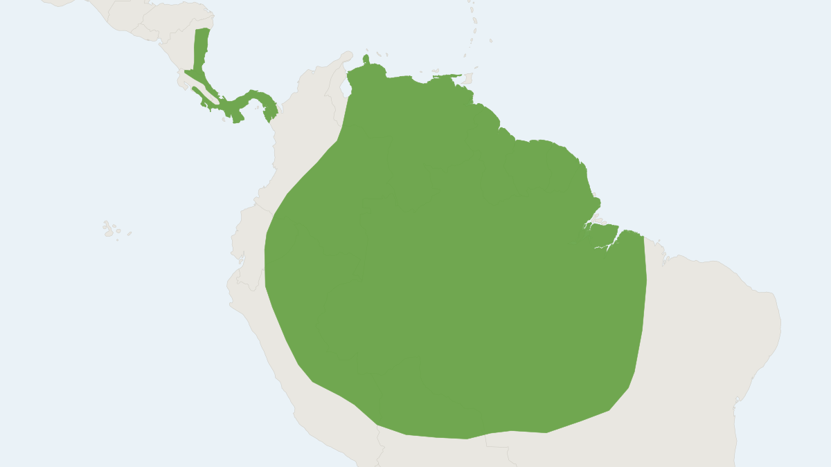 Range map of the Chestnut Sac-winged Bat (Cormura brevirostris)