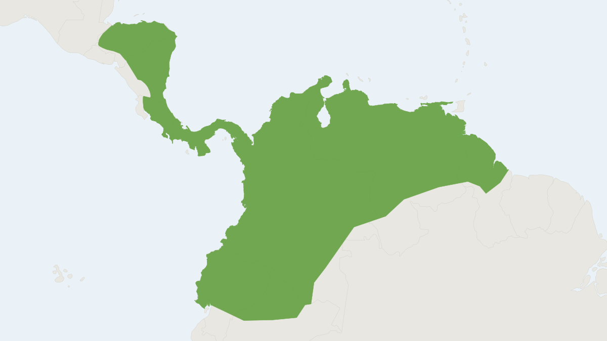 Range map of the Chestnut Short-tailed Bat (Carollia castanea)
