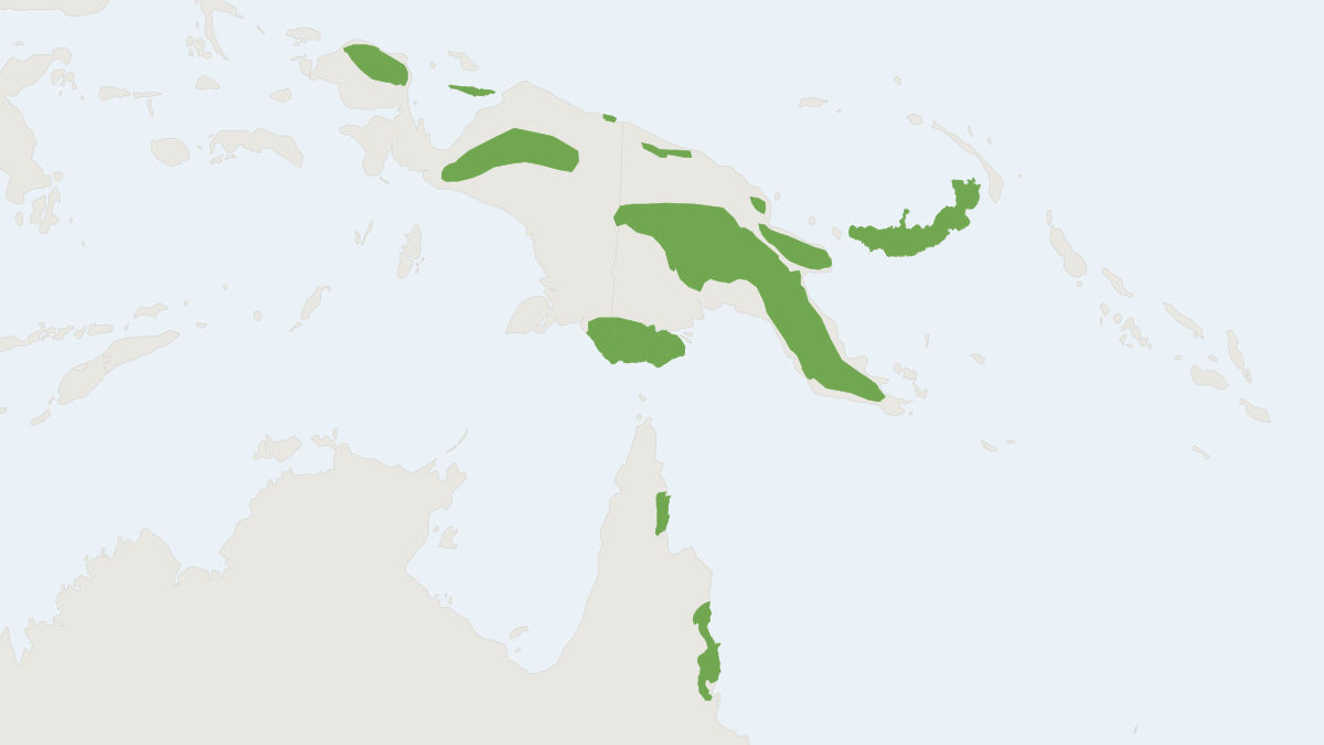 Range map of the Chestnut Tree Mouse (Pogonomys macrourus)