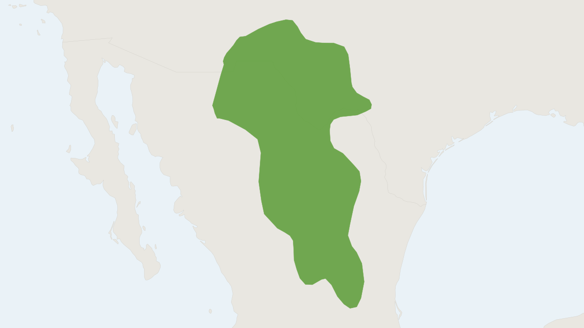 Range map of the Chihuahuan Desert Pocket Mouse (Chaetodipus eremicus)