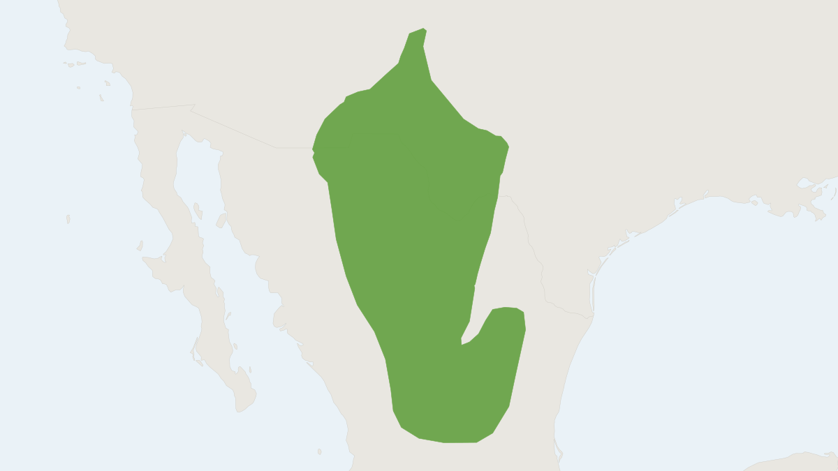 Range map of the Chihuahuan Grasshopper Mouse (Onychomys arenicola)