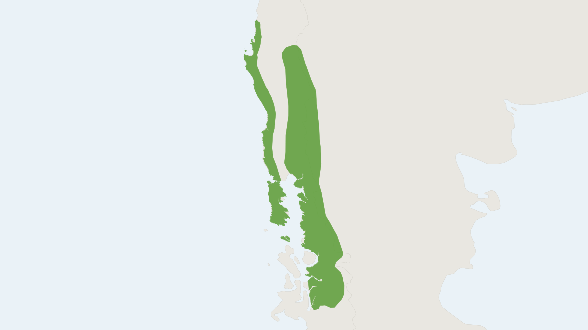 Range map of the Chilean Climbing Mouse (Irenomys tarsalis)