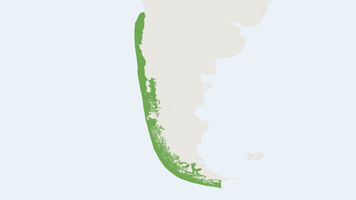 Range map of the Chilean Dolphin (Cephalorhynchus eutropia) covering Chile