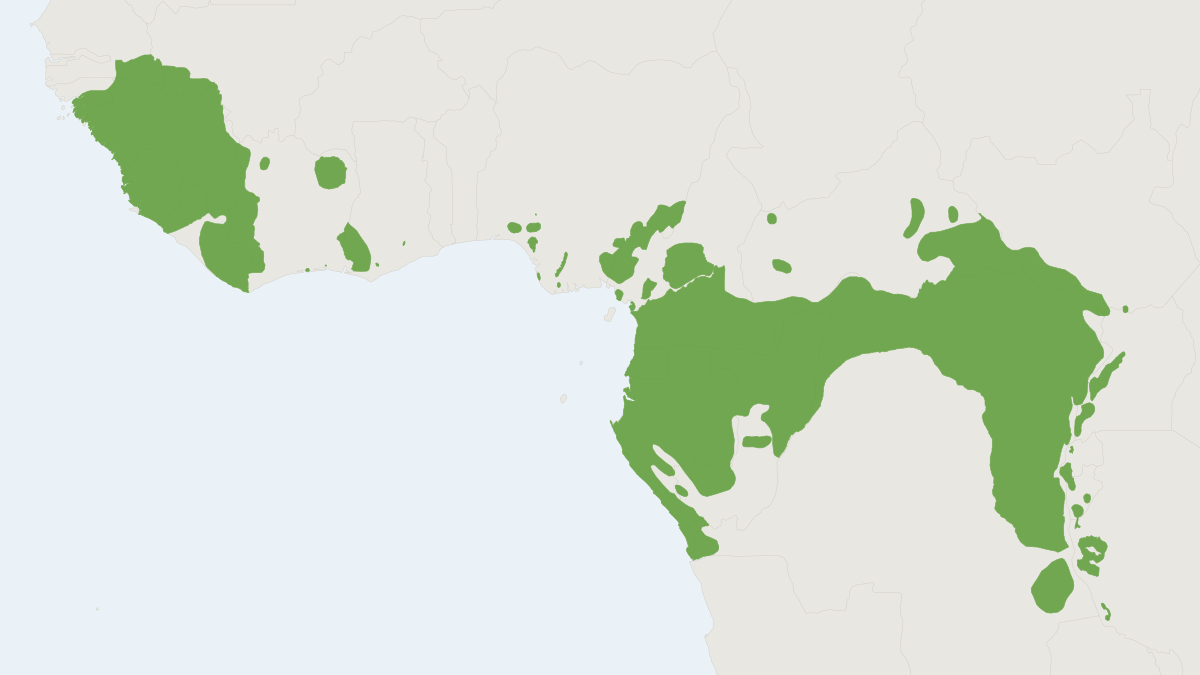 Range map of the Chimpanzee (Pan troglodytes) covering Cameroon, Central African Republic and Democratic Republic of the Cong