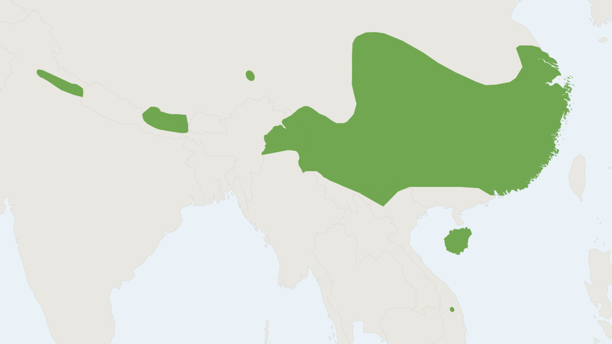 Range map of the Chinese Horseshoe Bat (Rhinolophus sinicus)