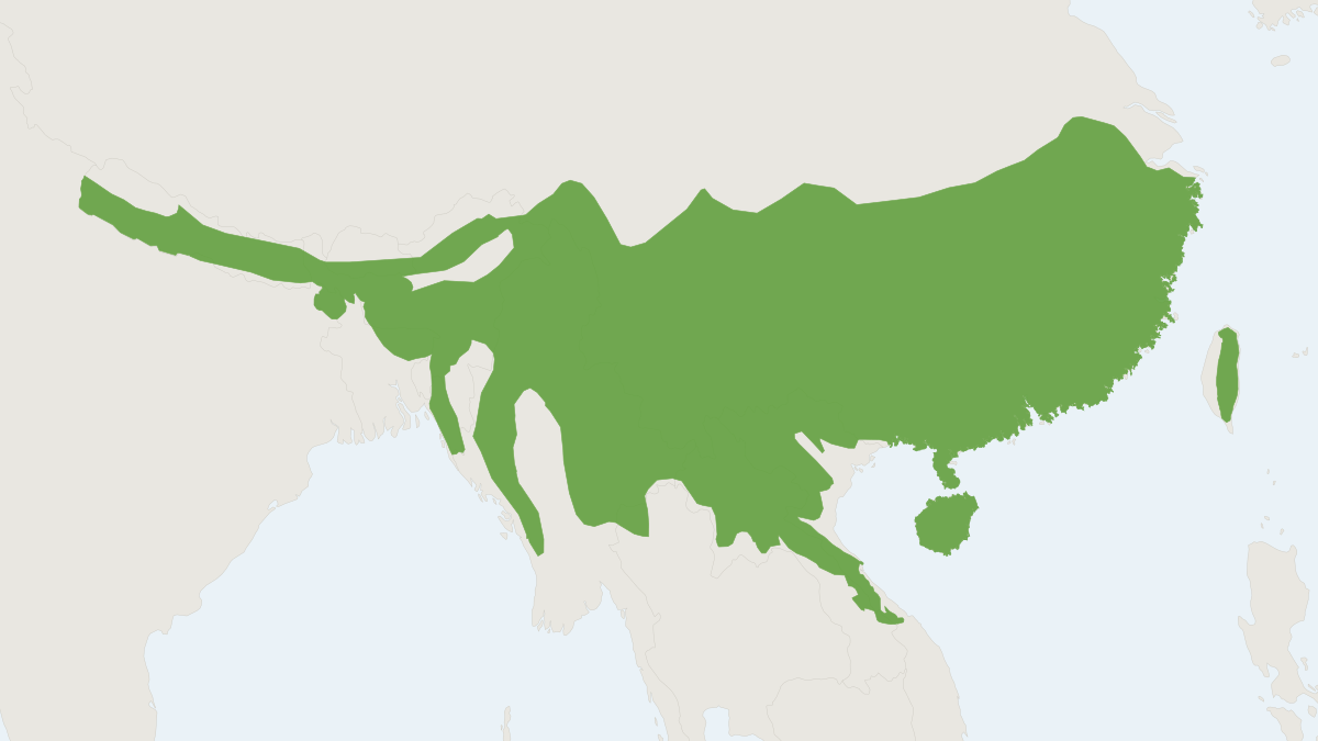 Range map of the Chinese Pangolin (Manis pentadactyla) covering Bangladesh, Bhutan and China