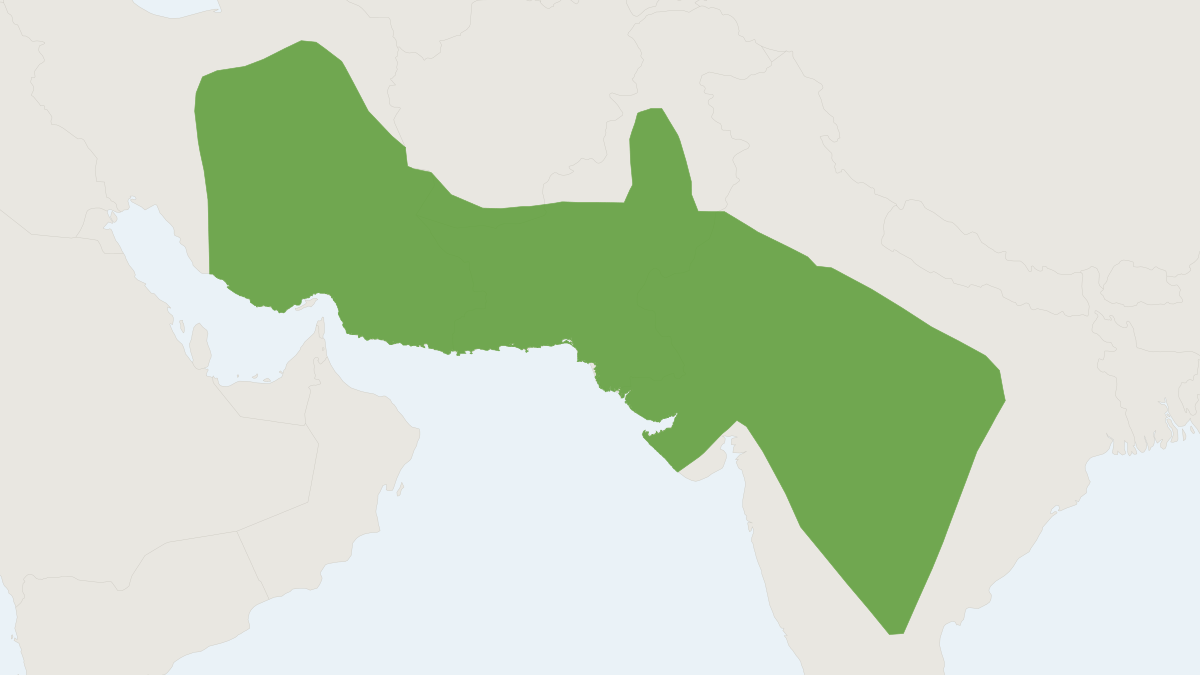 Range map of the Chinkara (Gazella bennettii)