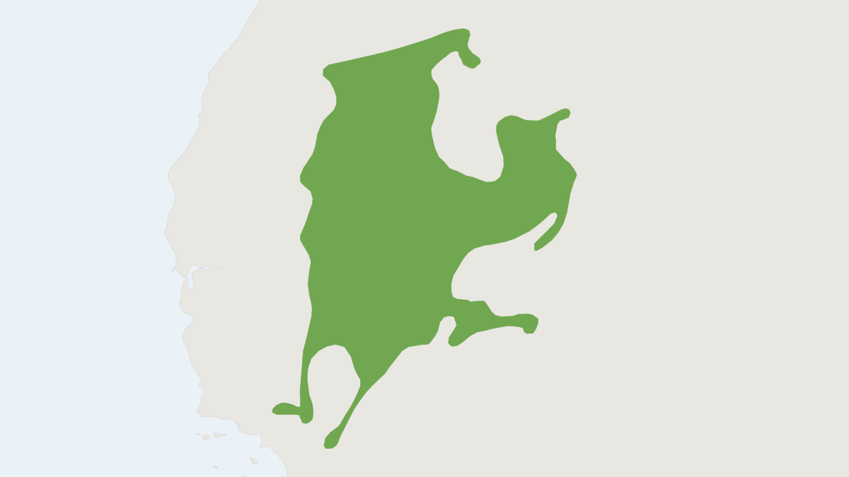 Range map of the Chisel-toothed Kangaroo Rat (Dipodomys microps)