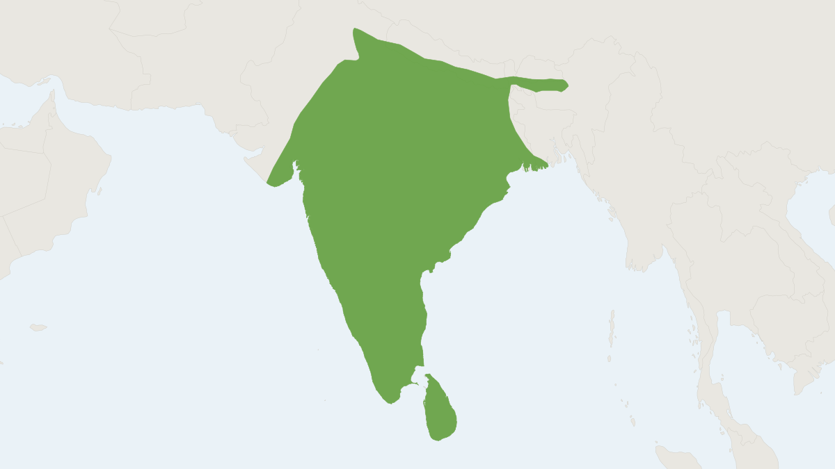 Range map of the Chital (Axis axis) covering Argentina, Australia and Bangladesh