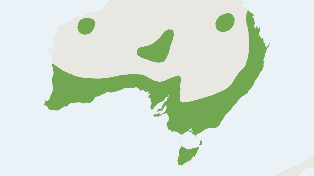Range map of the Chocolate Wattled Bat (Chalinolobus morio) covering Australia and United Kingdom