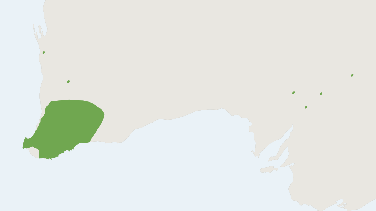 Range map of the Chuditch (Dasyurus geoffroii)