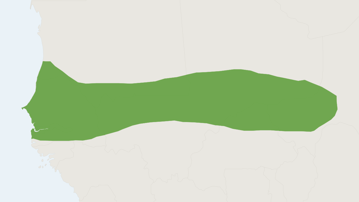 Range map of the Cinderella Shrew (Crocidura cinderella)