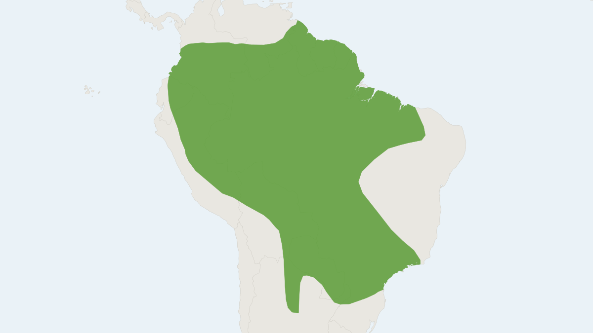 Range map of the Cinnamon Dog-faced Bat (Cynomops abrasus)